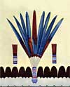 The Peyote Ritual - Monroe Tsa Toke - The Flower of Dawn